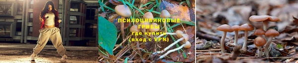 кокаин перу Армянск