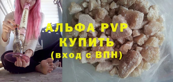 сатива Аркадак