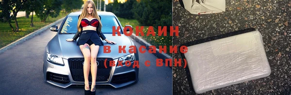 сатива Аркадак