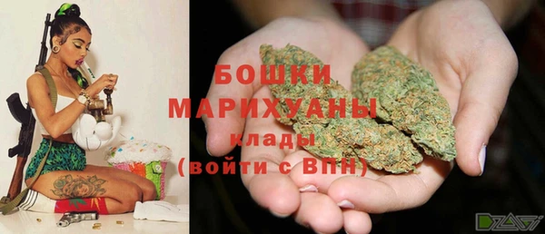 сатива Аркадак
