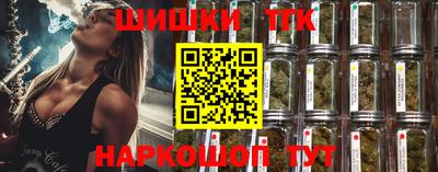 гидропоника Ноябрьск