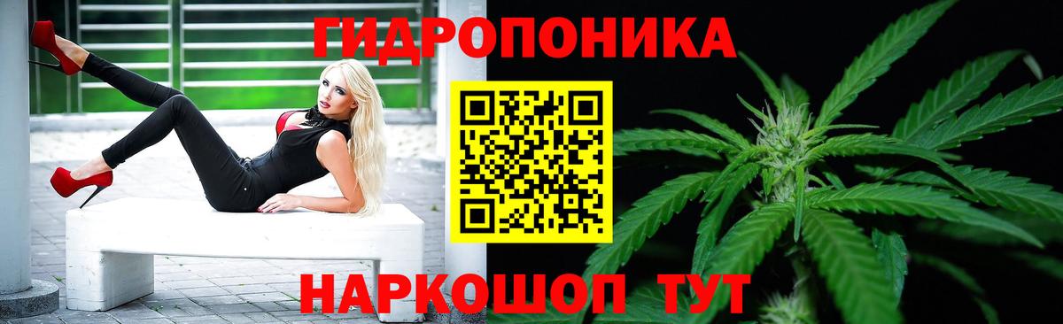 Конопля тримм  Бошки Шишки MAZAR  Белово  Вход с VPN  Бошки Шишки LSD WEED 